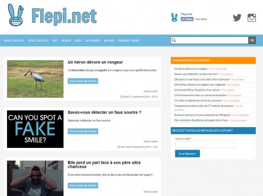 Flepi.net