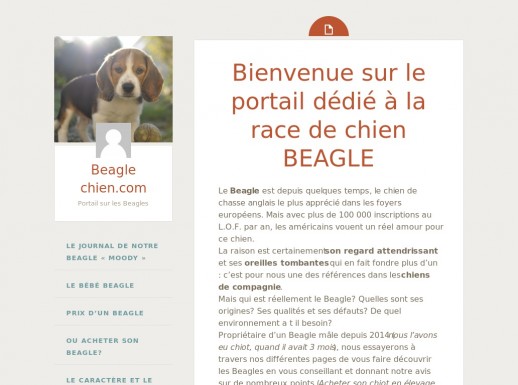moody le Beagle