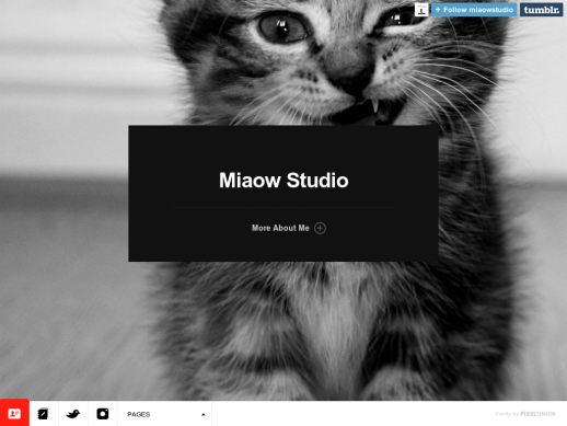 Miaow Studio