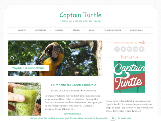 Captain Turtle