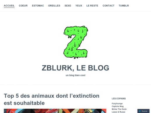 Zblurk, le blog